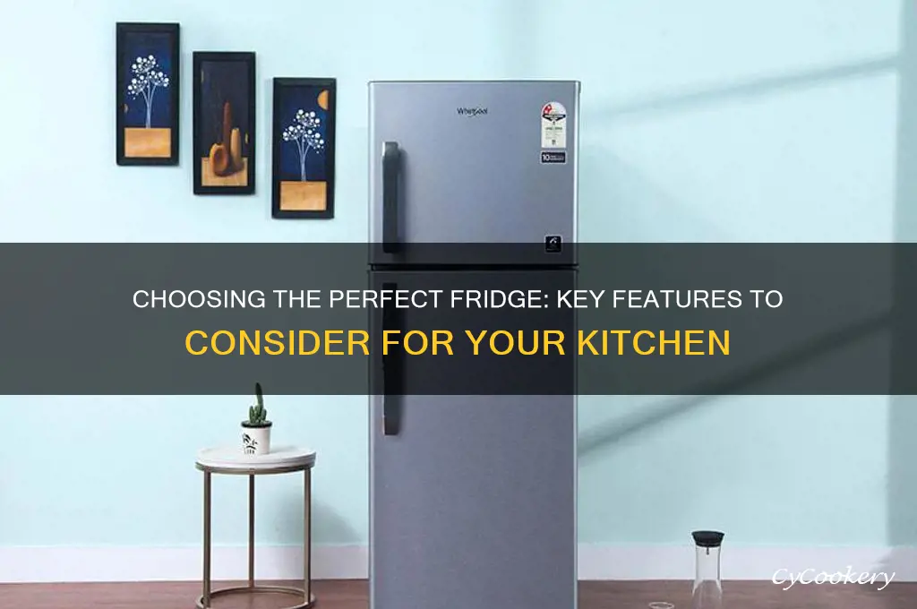 what to look for in a refrigerator