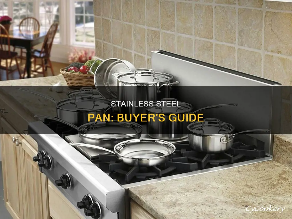 what to look for in a stainless steel pan