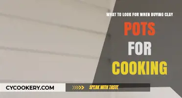 Choosing Perfect Clay Pots: Key Features for Authentic Cooking Experience