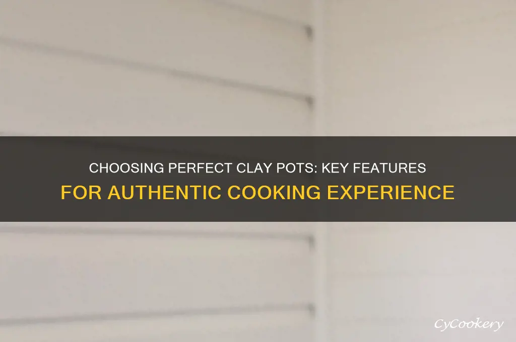 what to look for when buying clay pots for cooking
