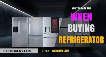 Essential Features to Consider When Purchasing a New Refrigerator