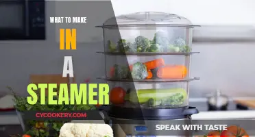 Creative Steamer Recipes for Delicious, Healthy Meals