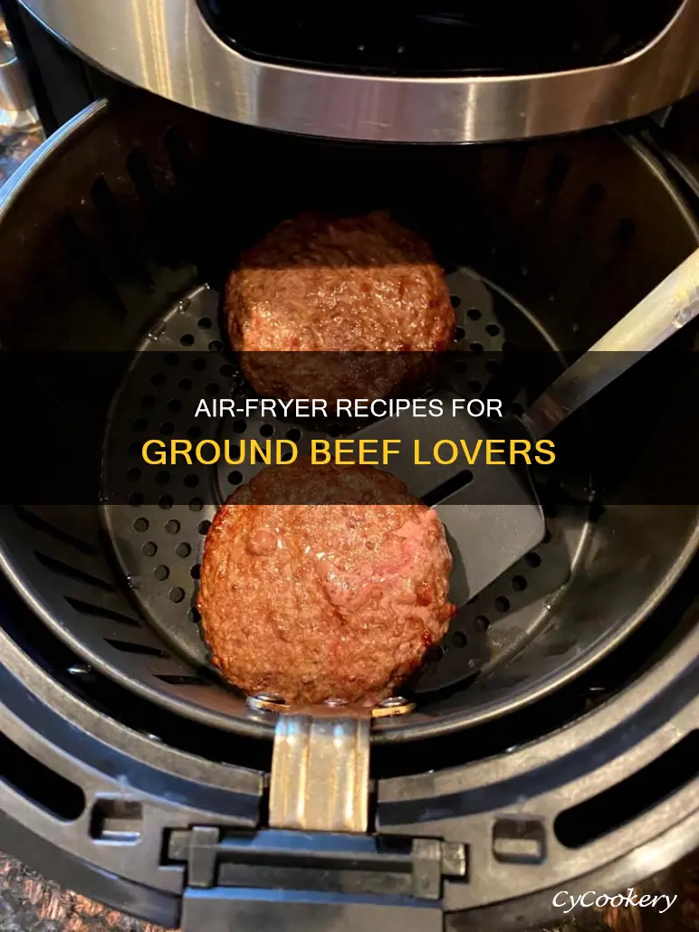 what to make with hamburger meat in the air fryer