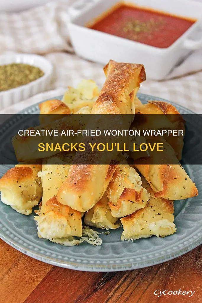 what to make with wonton wrappers in air fryer