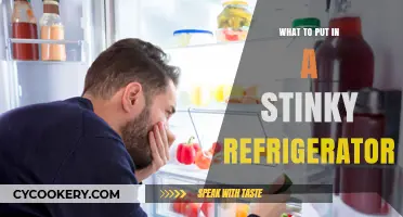 Freshen Up: Quick Fixes for a Stinky Refrigerator Crisis
