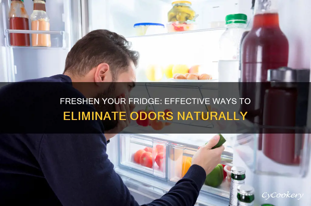 what to put in refrigerator for smell