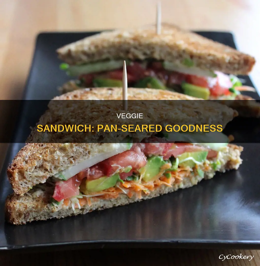 what to put on pan sear veggie sandwich