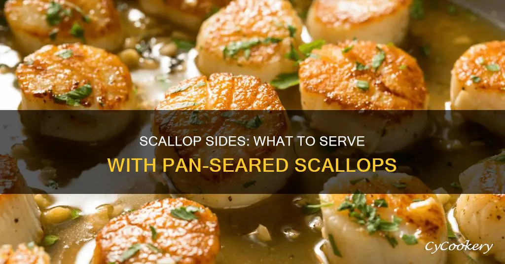 what to serve with pan seared scallops