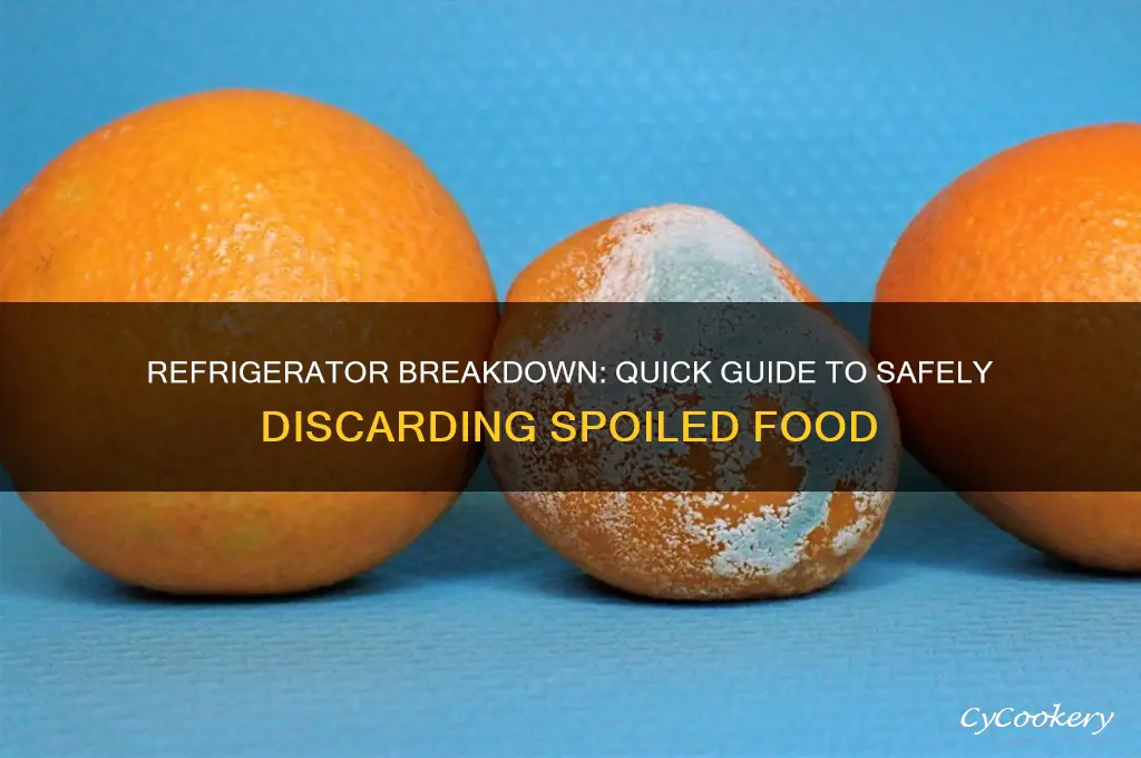 what to toss when your refrigerator dies