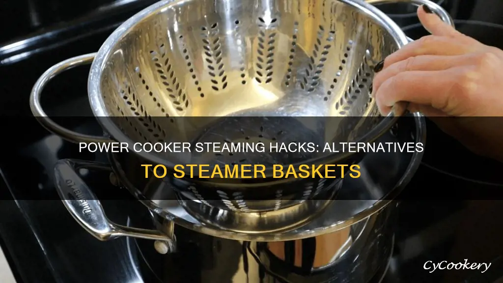 what to use instead of steamer basket in power cooker