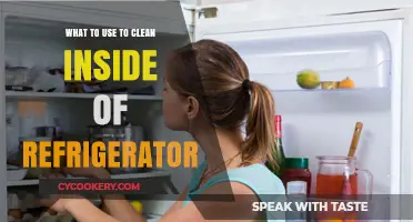 Best Natural Cleaners for a Sparkling Refrigerator Interior