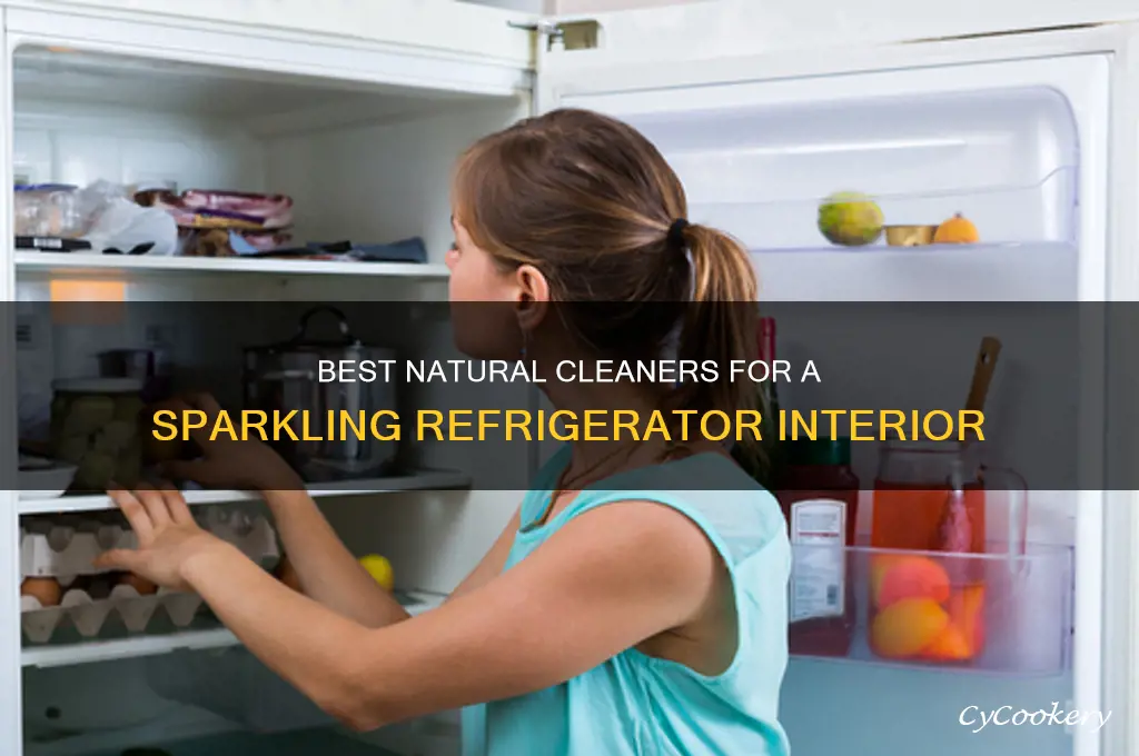 what to use to clean inside of refrigerator