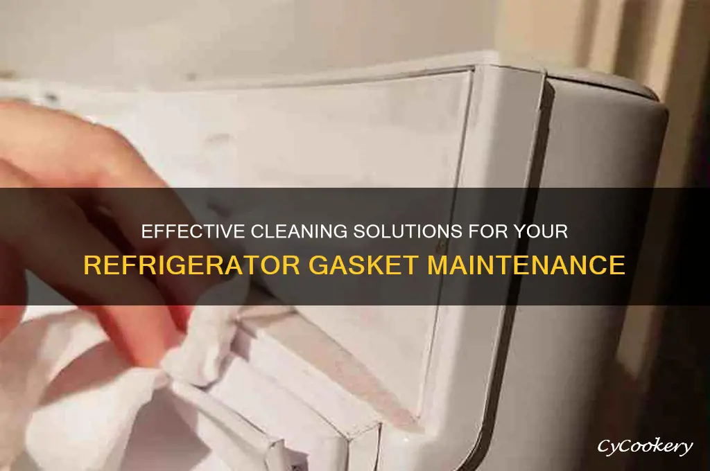 what to use to clean refrigerator gasket