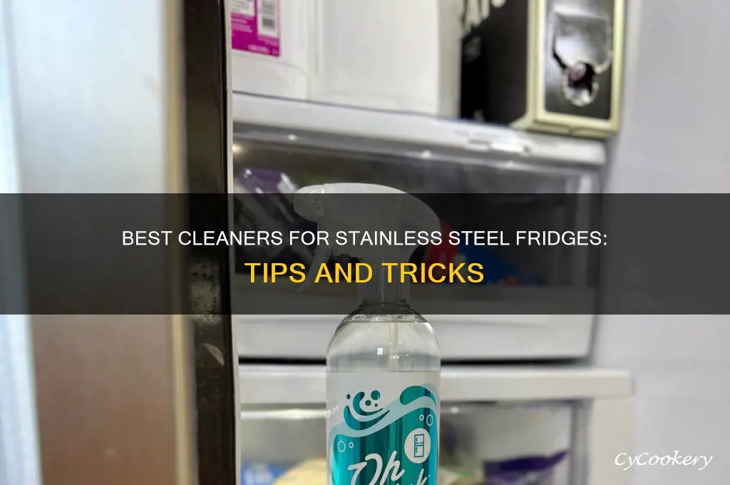 what to use to clean stainless refrigerator