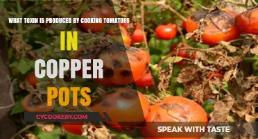 Copper Pots and Tomatoes: Unveiling the Hidden Toxin Risk