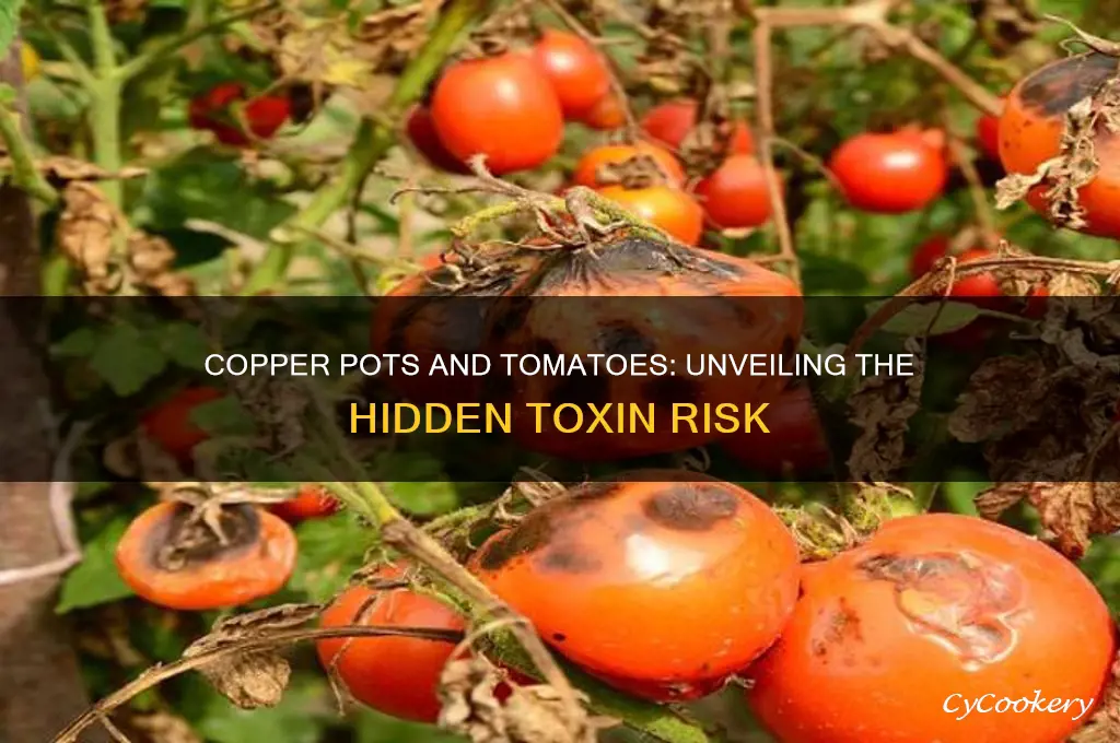what toxin is produced by cooking tomatoes in copper pots