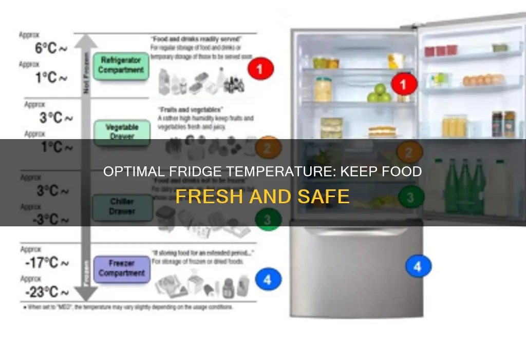 what tperature should refrigerator be set at