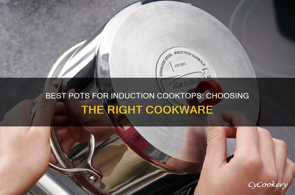what tuype of pot to uise on induction cook plate