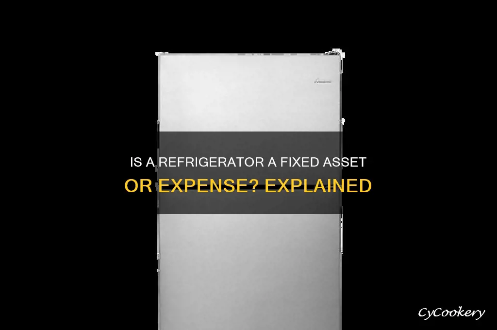 what type of asset is a refrigerator