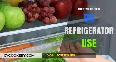 Understanding the Right Freon Types for Modern Refrigerators