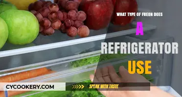 Understanding the Type of Freon Your Refrigerator Uses: A Guide