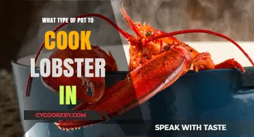Best Pots for Cooking Lobster: A Comprehensive Guide to Perfect Results