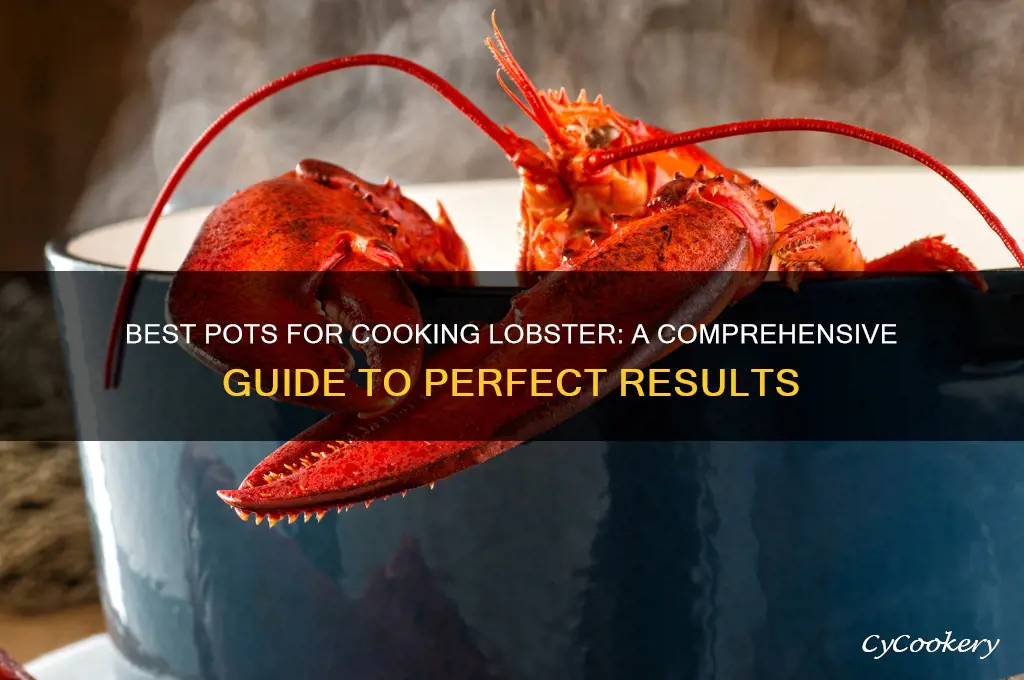 what type of pot to cook lobster in