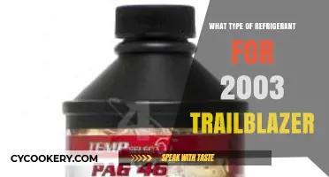 Choosing the Right Refrigerant for Your 2003 Trailblazer: A Guide