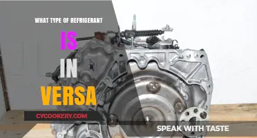 Understanding the Refrigerant Type Used in Versa Systems