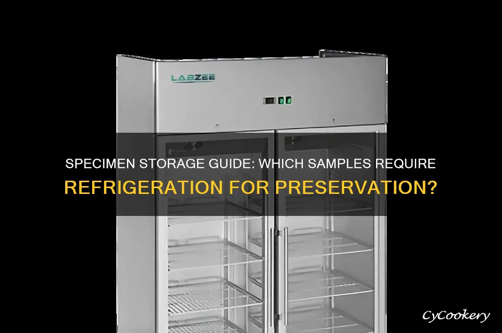 what type of specimen must be refrigerated