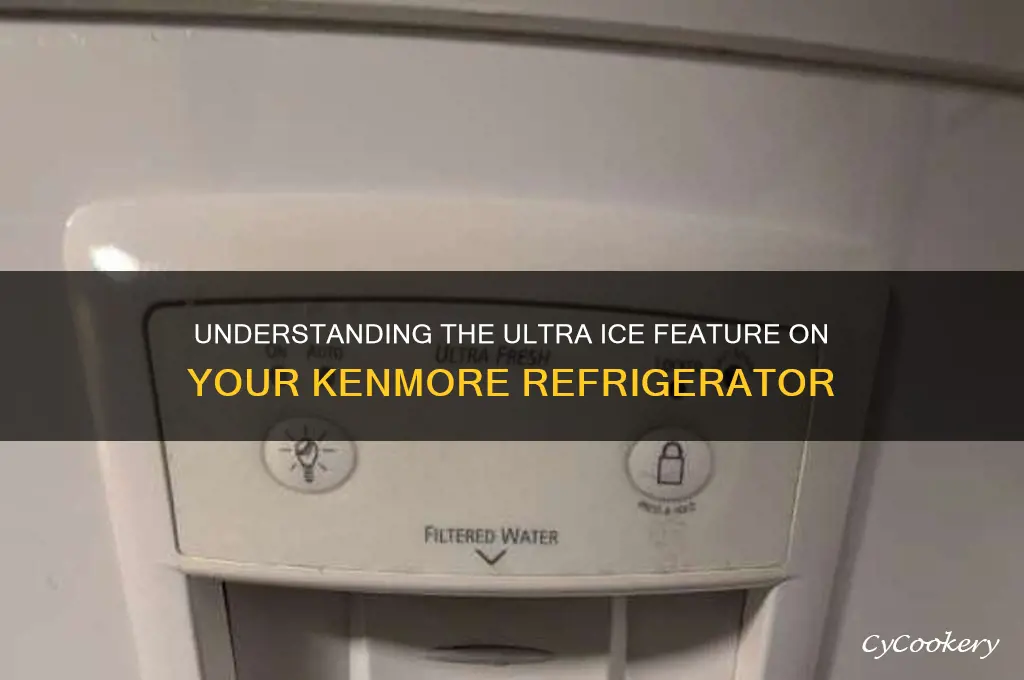 what ultra ice button on kemore refrigerator