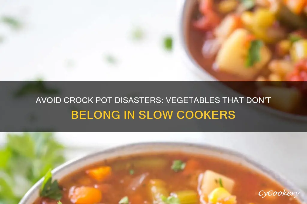 what vegetable not to cook in a crock pot