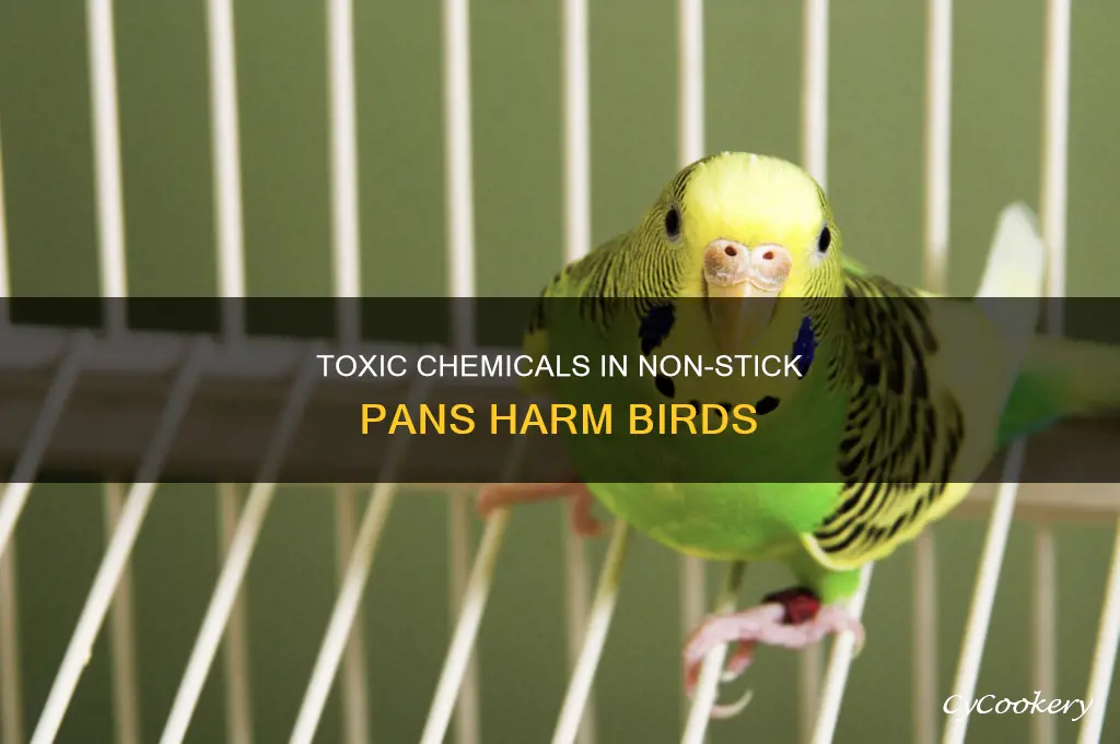 what vhemical os bad for birds fron non stick pans