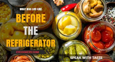 Life Without Refrigeration: Preserving Food and Traditions in the Past