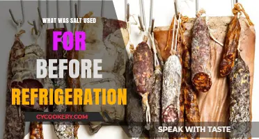 Preserving Food: Ancient Uses of Salt Before Modern Refrigeration