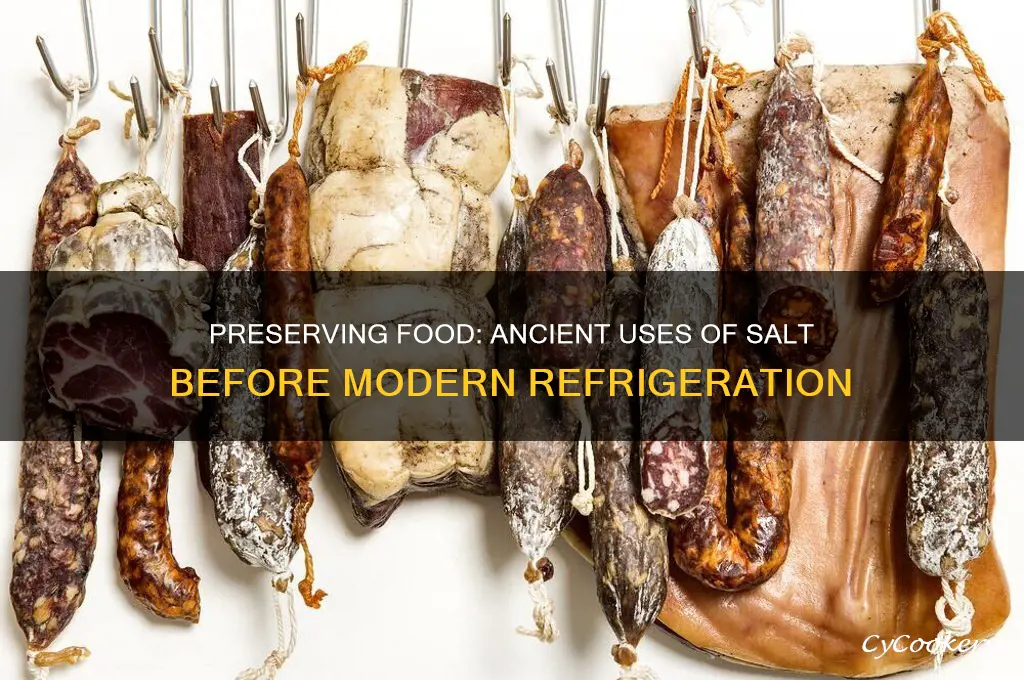 what was salt used for before refrigeration