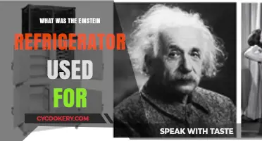 Einstein's Refrigerator: Its Purpose and Impact on Cooling Technology