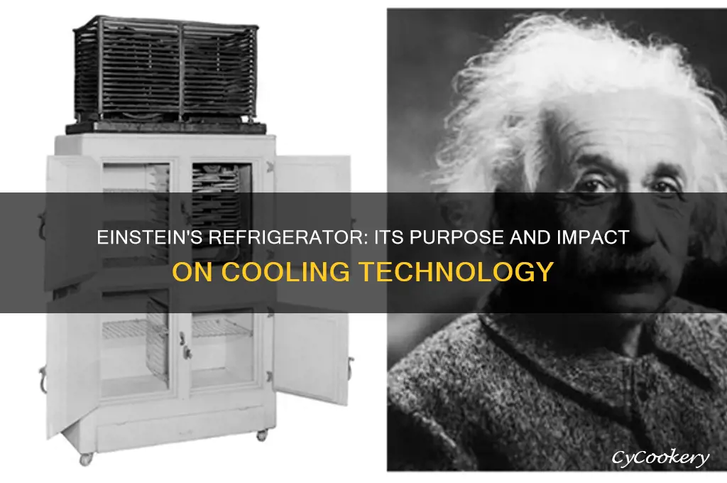 what was the einstein refrigerator used for