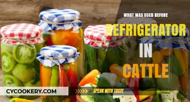 Pre-Refrigeration Cattle Care: Traditional Methods for Milk Preservation