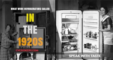 Chilling History: What Were Refrigerators Called in the 1920s?
