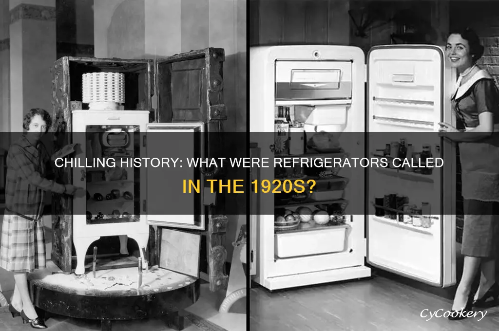 what were refrigerators called in the 1920s