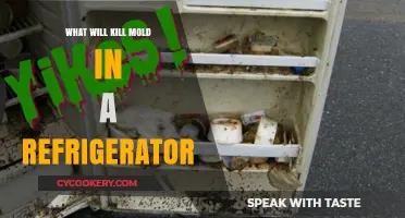 Effective Ways to Eliminate Mold in Your Refrigerator Safely