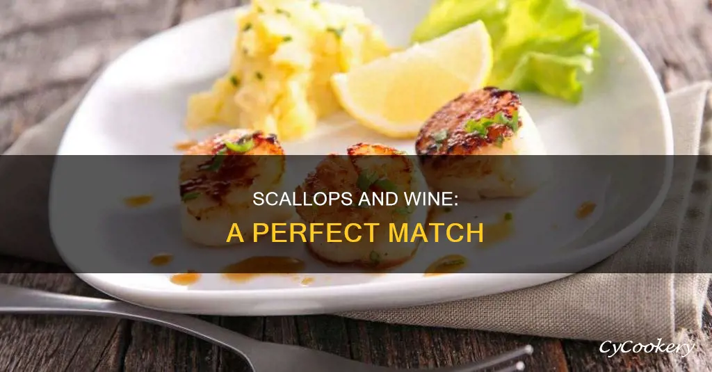 what wine pairs well with pan seared scallops