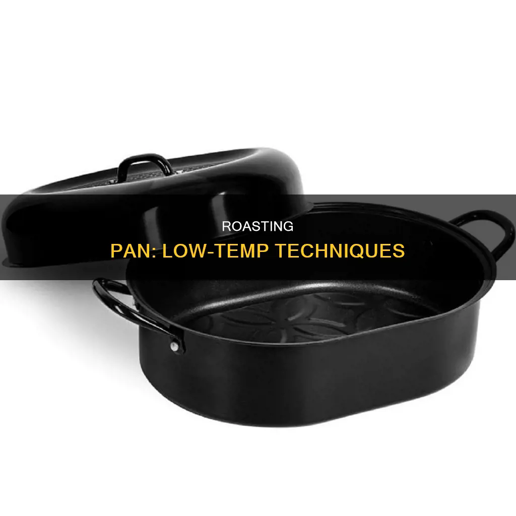 what would be considered low temp in a roasting pan