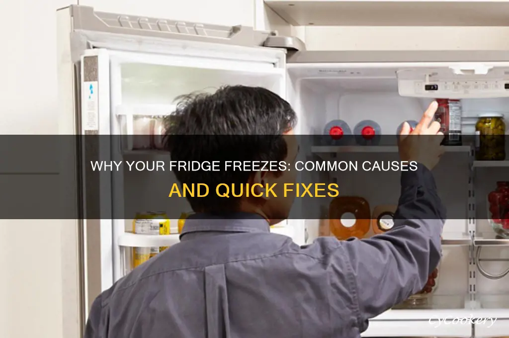 what would cause a refrigerator to freeze