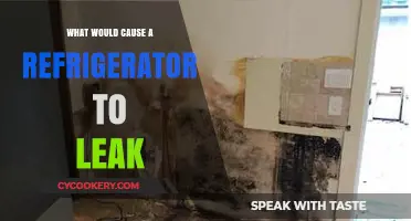 Why Is Your Refrigerator Leaking? Common Causes and Quick Fixes