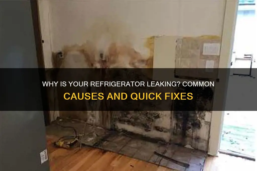 what would cause a refrigerator to leak