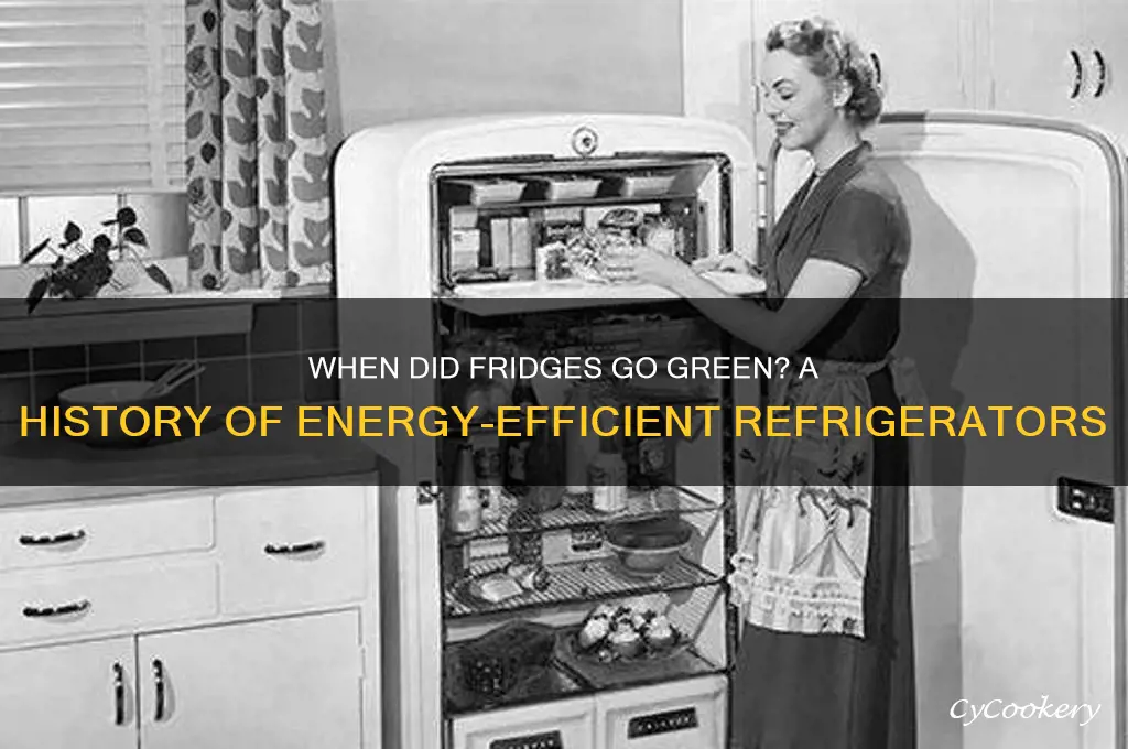 what year did refrigerators become energy efficient