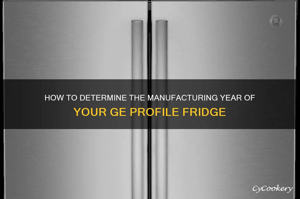 what year is my ge profile refrigerator