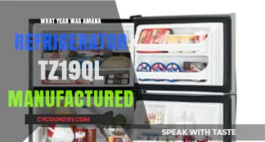 Discovering the Manufacturing Year of Amana TZ19QL Refrigerator